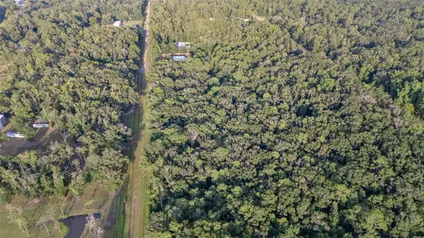 4715 ALVIN ST, Hastings, FL 32145