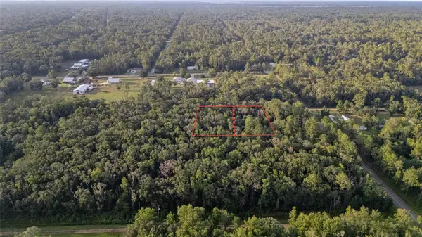 4715 ALVIN ST, Hastings, FL 32145