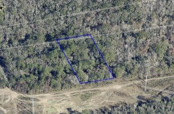 MARTY ST, Hastings, FL 32145