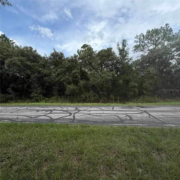 3913 N EISENHOWER AVE, Hernando, FL 34442
