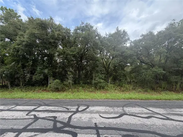 3913 N EISENHOWER AVE, Hernando, FL 34442