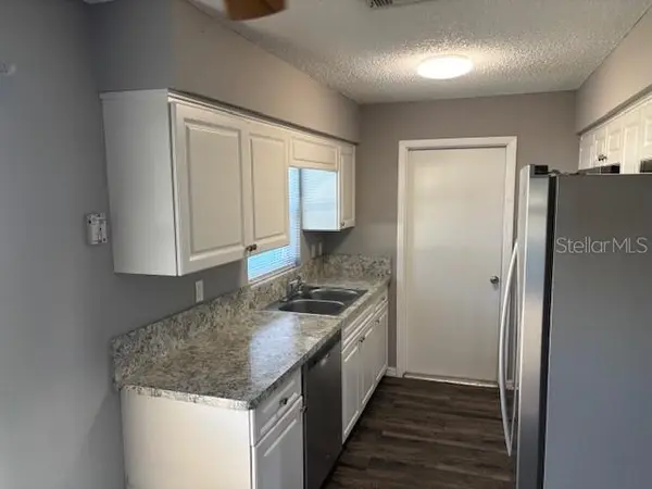13233 GRAND TERRACE DR, Grand Island, FL 32735