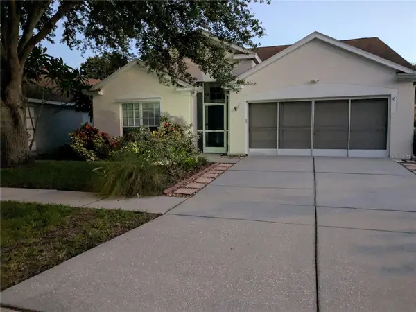 10507 WALKER VISTA DR, Riverview, FL 33578
