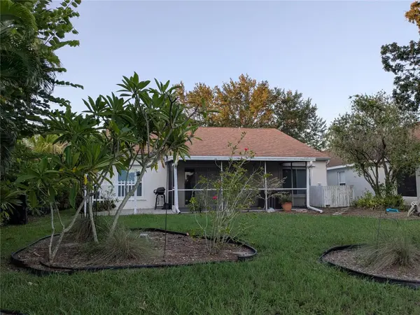 10507 WALKER VISTA DR, Riverview, FL 33578