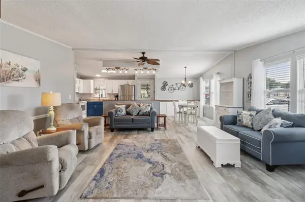 1001 MATTHEW AVE, The Villages, FL 32159