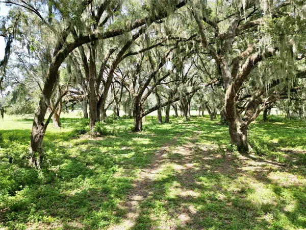 00 C-478 W, Webster, FL 33597