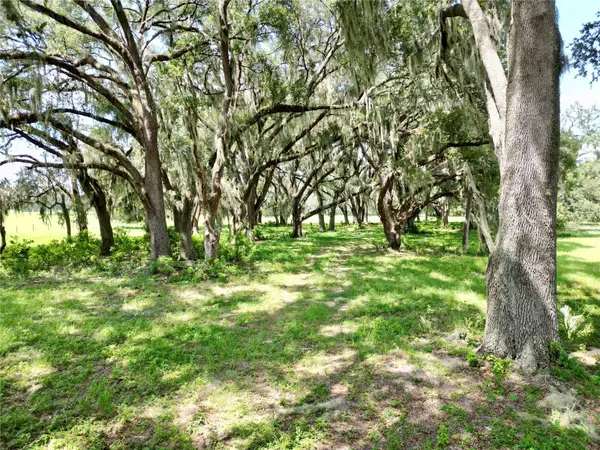00 C-478 W, Webster, FL 33597
