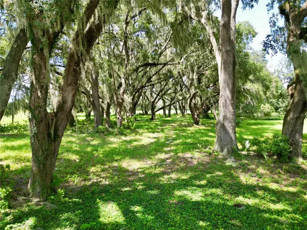 00 C-478 W, Webster, FL 33597