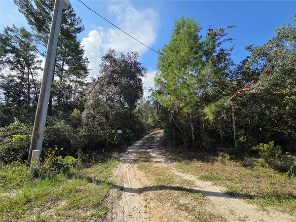 27016 FISHERMANS RD, Paisley, FL 32767