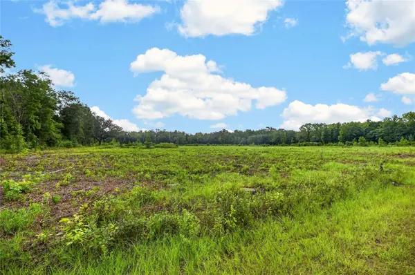 NW 239, Alachua, FL 32615