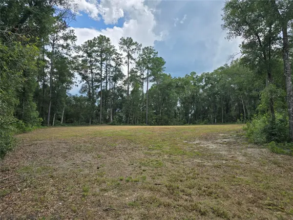 1003 SW 175TH CT, Newberry, FL 32669