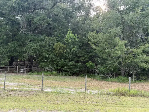 NE 32 PL, High Springs, FL 32643