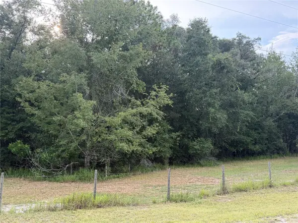 NE 32 PL, High Springs, FL 32643