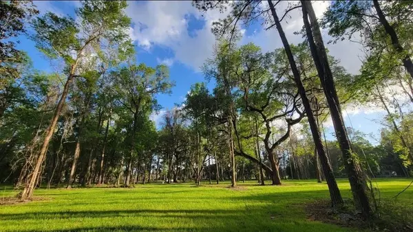 16545 NW 128TH TER #Lot 37 & 36, Reddick, FL 32686