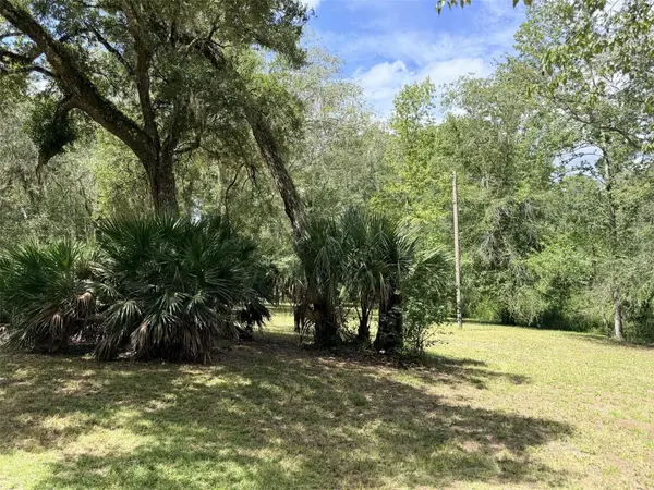 1957 SE 477 AVE, Old Town, FL 32680