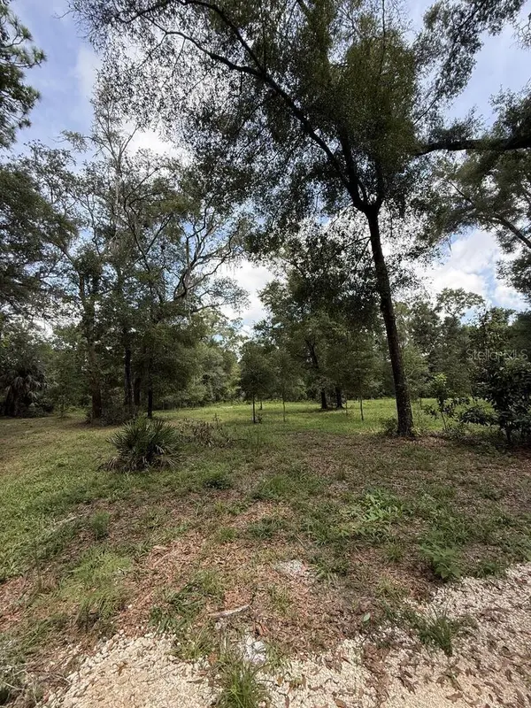 8431 NW 60 AVE, Chiefland, FL 32626