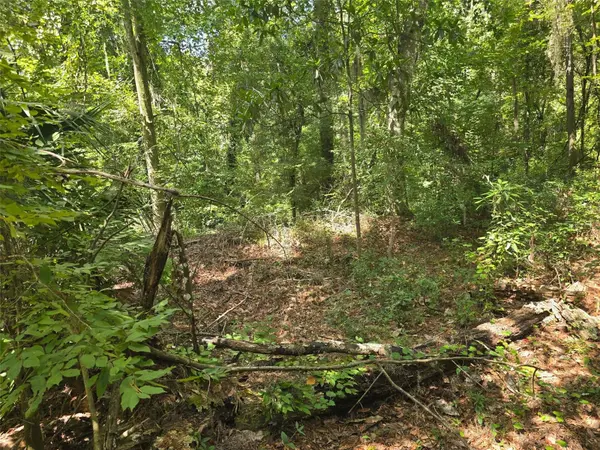 TBD NW SPRING HOLLOW BLVD, Lake City, FL 32055