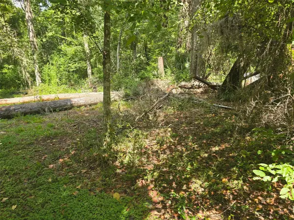 TBD NW SPRING HOLLOW BLVD, Lake City, FL 32055