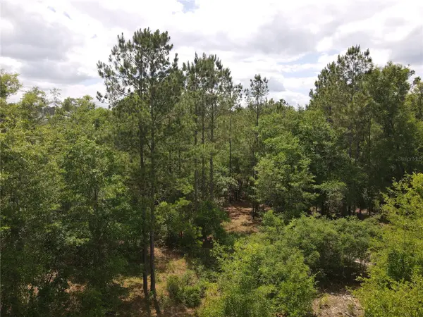 TBD N STATE ROAD 121 #1, Alachua, FL 32615