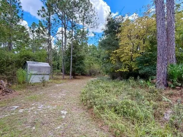 4850 NW 55TH AVE, Bell, FL 32619