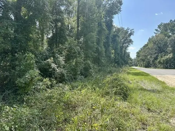 NE 597TH ST, Old Town, FL 32680