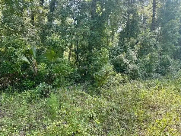 NE 597TH ST, Old Town, FL 32680
