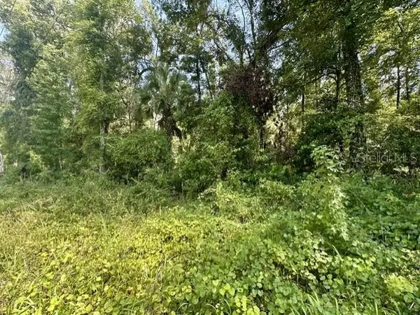 NE 597TH ST, Old Town, FL 32680
