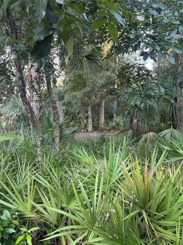 NW 114TH CT, Chiefland, FL 32626
