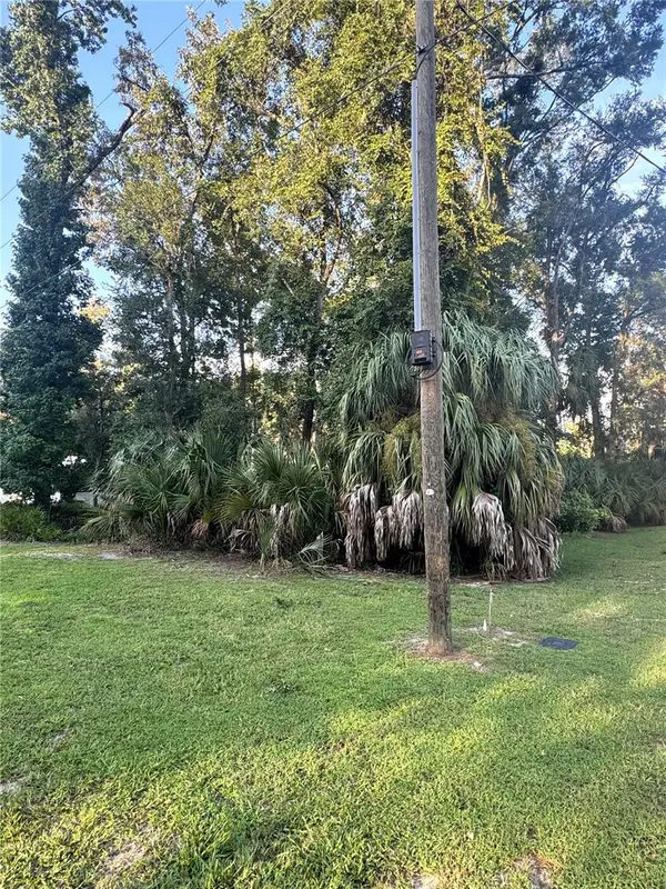 NW 114TH CT, Chiefland, FL 32626