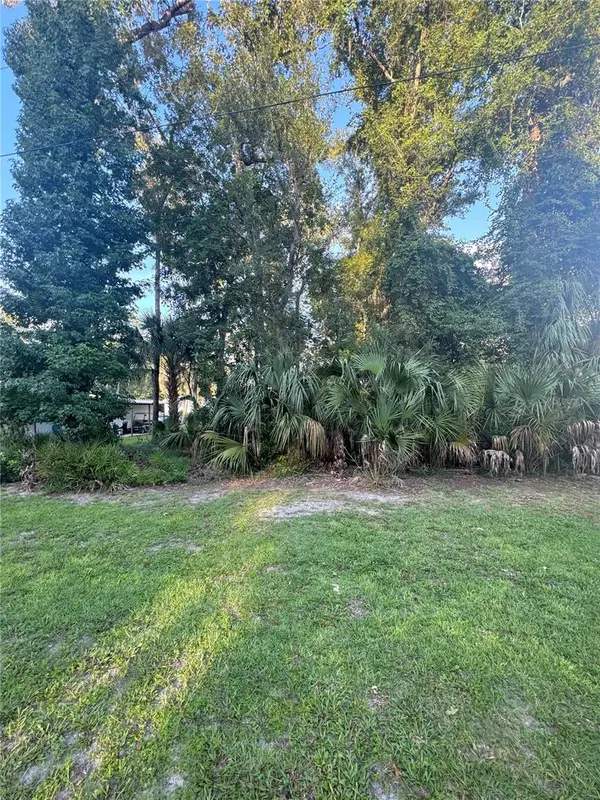 NW 114TH CT, Chiefland, FL 32626