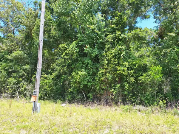 TBD N HWY 19, Chiefland, FL 32626