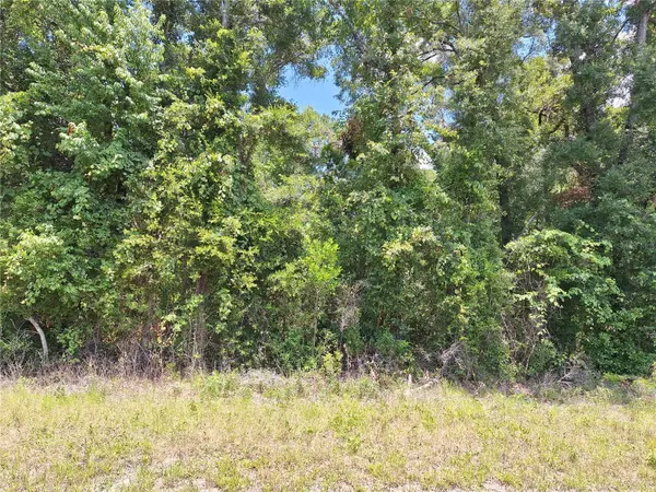 TBD N HWY 19, Chiefland, FL 32626