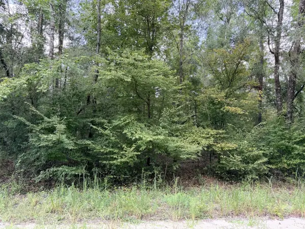 0 NE 756 ST, Old Town, FL 32680