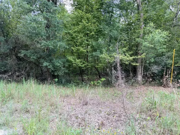 0 NE 756 ST, Old Town, FL 32680