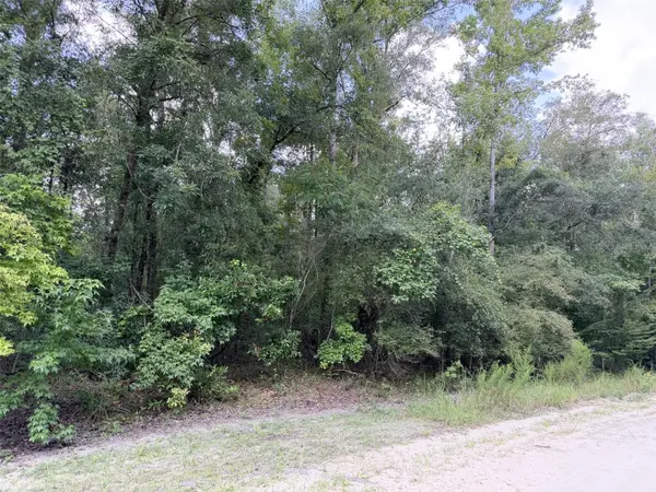0 NE 756 ST, Old Town, FL 32680