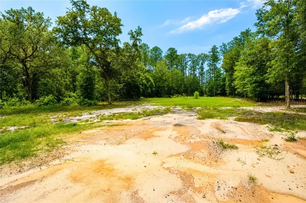 261 ASHLEY LAKE DR, Melrose, FL 32666