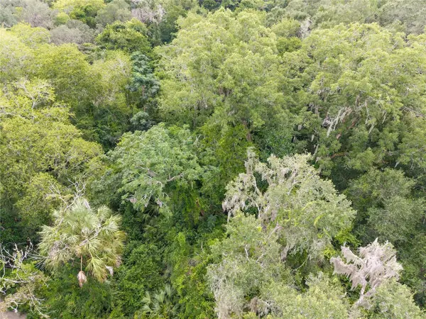 SW 57TH RD, Gainesville, FL 32608
