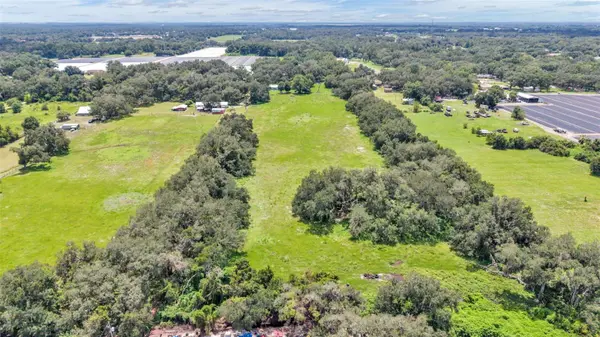 1620 SPARKMAN RD, Tampa, FL 33610