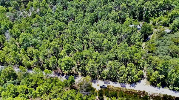 121 PEAR ST, Welaka, FL 32193
