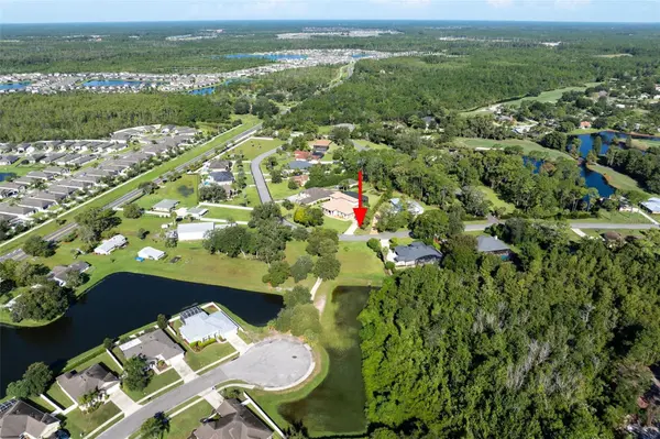 441 SWEET BAY AVE, New Smyrna Beach, FL 32168