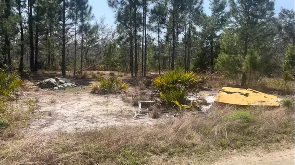246 CASPIAN TERN AVE, Sebring, FL 33870