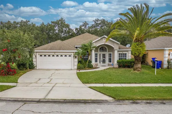 2111 EAGLEVIEW CT, Kissimmee, FL 34746
