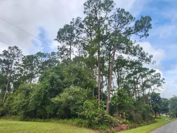 14634 HENSON RD, Orlando, FL 32832
