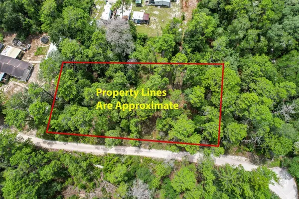 202 UTAH ST, Satsuma, FL 32189