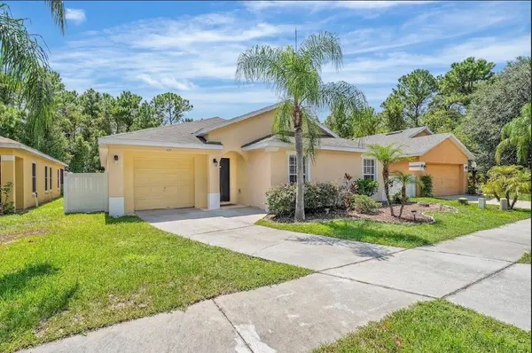 131 SANDY RIDGE DR, Davenport, FL 33896