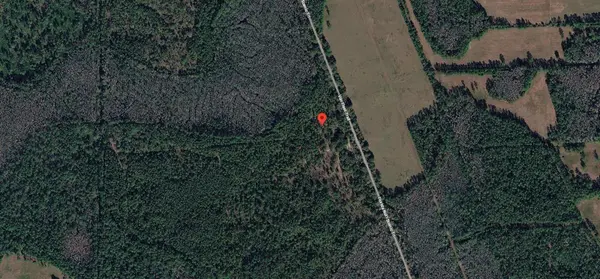 00 VAN FLEET TRL, Polk City, FL 33868