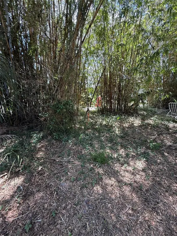 MATCHETT, Belle Isle, FL 32809