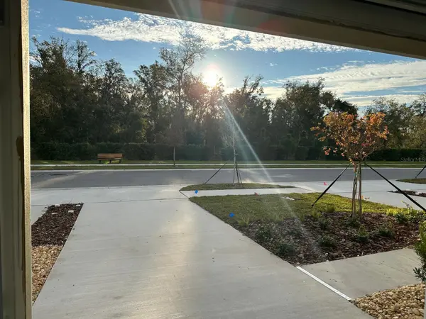 11111 WISHING CLOUD RD, Land O Lakes, FL 34638