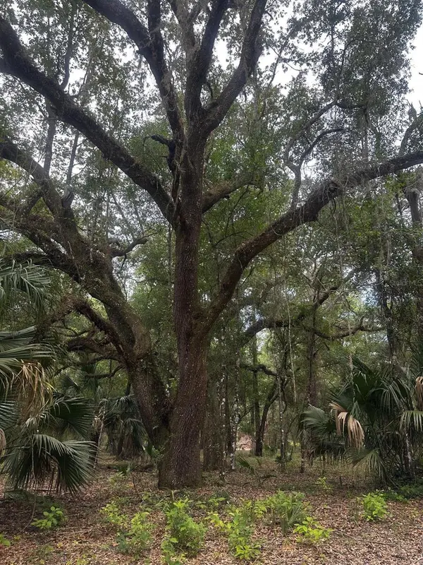 Lot 1 NE 127TH ST, Fort Mc Coy, FL 32134
