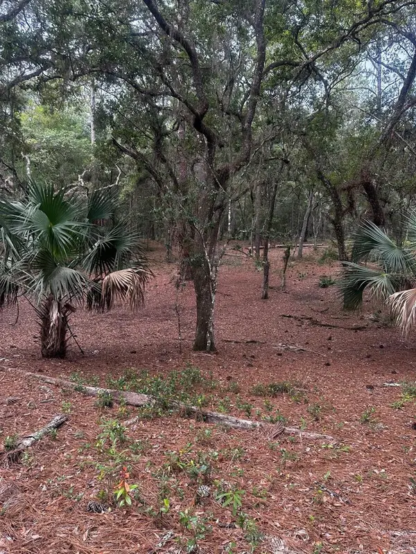 Lot 1 NE 127TH ST, Fort Mc Coy, FL 32134